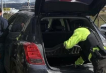 Con el objetivo de fortalecer la seguridad ciudadana y prevenir delitos, el Distrito de Policía Guano-Penipe ejecutó una serie de operativos durante la última semana, abarcando zonas urbanas, rurales y puntos estratégicos de alta circulación.