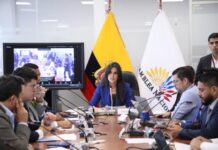 La Comisión de Participación Ciudadana y Control Social de la Asamblea Nacional resolvió este martes continuar con el proceso de fiscalización relacionado con los contratos firmados entre el Ministerio de Energía y Minas y la empresa Progen.