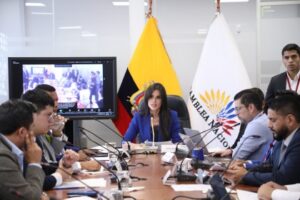 La Comisión de Participación Ciudadana y Control Social de la Asamblea Nacional resolvió este martes continuar con el proceso de fiscalización relacionado con los contratos firmados entre el Ministerio de Energía y Minas y la empresa Progen.
