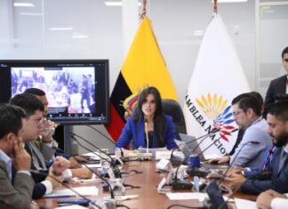 La Comisión de Participación Ciudadana y Control Social de la Asamblea Nacional resolvió este martes continuar con el proceso de fiscalización relacionado con los contratos firmados entre el Ministerio de Energía y Minas y la empresa Progen.