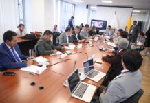 En la sesión No. 003, la Comisión de Garantías Constitucionales de la Asamblea Nacional decidió, con diez votos a favor, iniciar un proceso de fiscalización y control político sobre los contratos vinculados a las termoeléctricas en el país.