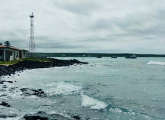 El Instituto Oceanográfico y Antártico de la Armada del Ecuador (Inocar) informó este lunes 29 de julio que no existe amenaza de tsunami para las costas ecuatorianas, tras el terremoto de magnitud 7,4 que se registró en las islas Kuriles, al este de Rusia.