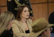 La Asamblea Nacional debatió este martes la controvertida "Ley de Fijación de Límites Territoriales Internos", un proyecto estancado desde hace casi ocho años y que ha generado preocupación por la falta de claridad técnica y jurídica en su planteamiento.