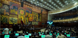 La reciente aprobación de la Ley Orgánica de Integridad Pública por parte de la Asamblea Nacional del Ecuador ha encendido las alarmas entre organismos internacionales y organizaciones de derechos humanos, debido a sus severas reformas al sistema penal juvenil.
