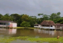 La fuerte crecida del río Pastaza ha provocado serios estragos en varias comunidades de la parroquia Montalvo, cantón Pastaza. Uno de los sectores más afectados es Pindoyacu, donde el desbordamiento del río ha inundado completamente la pista de acceso, la escuela comunitaria y buena parte del centro poblado.