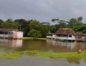 La fuerte crecida del río Pastaza ha provocado serios estragos en varias comunidades de la parroquia Montalvo, cantón Pastaza. Uno de los sectores más afectados es Pindoyacu, donde el desbordamiento del río ha inundado completamente la pista de acceso, la escuela comunitaria y buena parte del centro poblado.