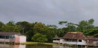 La fuerte crecida del río Pastaza ha provocado serios estragos en varias comunidades de la parroquia Montalvo, cantón Pastaza. Uno de los sectores más afectados es Pindoyacu, donde el desbordamiento del río ha inundado completamente la pista de acceso, la escuela comunitaria y buena parte del centro poblado.
