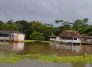 La fuerte crecida del río Pastaza ha provocado serios estragos en varias comunidades de la parroquia Montalvo, cantón Pastaza. Uno de los sectores más afectados es Pindoyacu, donde el desbordamiento del río ha inundado completamente la pista de acceso, la escuela comunitaria y buena parte del centro poblado.