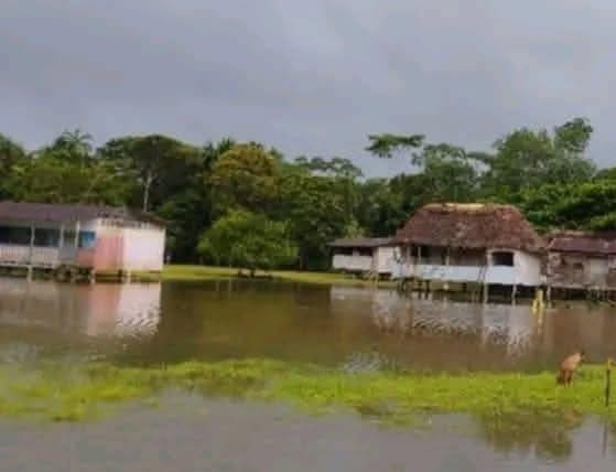 La fuerte crecida del río Pastaza ha provocado serios estragos en varias comunidades de la parroquia Montalvo, cantón Pastaza. Uno de los sectores más afectados es Pindoyacu, donde el desbordamiento del río ha inundado completamente la pista de acceso, la escuela comunitaria y buena parte del centro poblado.