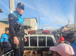 En un operativo desarrollado por las brigadas de control del Municipio de Riobamba, se logró el rescate de 23 perritos y 8 gatitos que estaban siendo comercializados de manera ilegal, en contravención a la normativa local que prohíbe esta práctica y la considera una forma de maltrato animal.