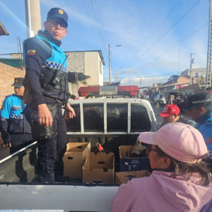 En un operativo desarrollado por las brigadas de control del Municipio de Riobamba, se logró el rescate de 23 perritos y 8 gatitos que estaban siendo comercializados de manera ilegal, en contravención a la normativa local que prohíbe esta práctica y la considera una forma de maltrato animal.