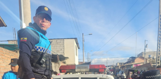 En un operativo desarrollado por las brigadas de control del Municipio de Riobamba, se logró el rescate de 23 perritos y 8 gatitos que estaban siendo comercializados de manera ilegal, en contravención a la normativa local que prohíbe esta práctica y la considera una forma de maltrato animal.