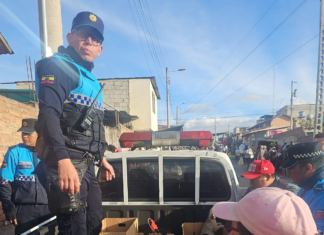 En un operativo desarrollado por las brigadas de control del Municipio de Riobamba, se logró el rescate de 23 perritos y 8 gatitos que estaban siendo comercializados de manera ilegal, en contravención a la normativa local que prohíbe esta práctica y la considera una forma de maltrato animal.