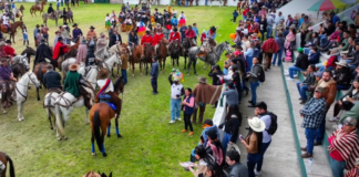 Riobamba fue el escenario de una auténtica fiesta cultural y deportiva este sábado 12 de julio, cuando la Prefectura de Chimborazo, bajo el liderazgo de Hermel Tayupanda, organizó el Rodeo Provincial 2025 en el Recinto Ferial de Macají.