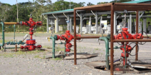 Petroecuador informó este martes sobre el desmantelamiento de siete mecheros ubicados en los campos petroleros de Sacha, Indillana y Auca, situados en la región amazónica del país. Esta acción forma parte del proceso de eliminación progresiva de estos sistemas de quema de gas, en cumplimiento con una sentencia judicial emitida en 2021 que ordena su retiro.