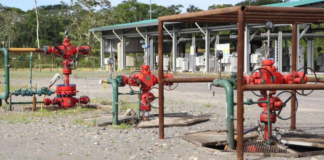 Petroecuador informó este martes sobre el desmantelamiento de siete mecheros ubicados en los campos petroleros de Sacha, Indillana y Auca, situados en la región amazónica del país. Esta acción forma parte del proceso de eliminación progresiva de estos sistemas de quema de gas, en cumplimiento con una sentencia judicial emitida en 2021 que ordena su retiro.