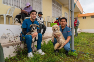 El Municipio de Riobamba, comprometido con la protección y el bienestar animal, desarrolló con éxito una nueva jornada gratuita de esterilización en el barrio El Florecer, como parte de su política de salud y control poblacional de animales de compañía.