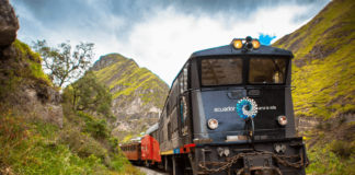 Durante años la estación del tren en Alausí se quedó inmóvil, la ruta hacia la Nariz del Diablo se volvió un recuerdo, y con ella, se apagaron historias de viaje y trabajo. Ese eco de la maquinaria haciendo su paso volvió a escucharse, el tren regresó, y con él, la vida volvió a recorrer los rieles que atraviesan el corazón de esta histórica ciudad andina.