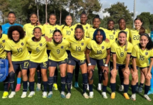 La Selección Femenina de Ecuador ya tiene definidas a las 23 jugadoras que representarán al país en la próxima edición de la Copa América Femenina, que se desarrollará entre el 12 de julio y el 2 de agosto en la ciudad de Quito. El grupo está conformado por futbolistas que militan tanto en el torneo local como en clubes del exterior.