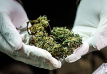 Jorge C., un hombre de 38 años residente en Riobamba, fue sentenciado a 40 meses de prisión por presuntamente almacenar y comercializar marihuana en su domicilio. Esta condena, resultado de un procedimiento abreviado, es un reflejo de una realidad alarmante, el microtráfico, un delito que a menudo pasa desapercibido, se está expandiendo rápidamente en muchas ciudades del Ecuador, afectando a comunidades enteras y dejando una estela de inseguridad y violencia.