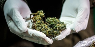Jorge C., un hombre de 38 años residente en Riobamba, fue sentenciado a 40 meses de prisión por presuntamente almacenar y comercializar marihuana en su domicilio. Esta condena, resultado de un procedimiento abreviado, es un reflejo de una realidad alarmante, el microtráfico, un delito que a menudo pasa desapercibido, se está expandiendo rápidamente en muchas ciudades del Ecuador, afectando a comunidades enteras y dejando una estela de inseguridad y violencia.