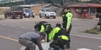 El 7 de julio trajo consigo una tragedia que ha conmocionado a la comunidad de Chacaza, en el cantón Guamote. Una mujer falleció tras ser atropellada por un bus de transporte interprovincial en el sector Vélez, cerca de la entrada a la hacienda Totorillas. La víctima, que recientemente había salido de una reunión en la que se discutían temas sobre el robo de ganado, fue arrollada mientras caminaba por la vía.