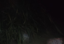 Un hombre de la tercera edad fue encontrado sin vida la noche del 8 de julio, en el Mirador de la Media Luna, ubicado en la ciudad de Riobamba, en la provincia de Chimborazo. El cuerpo fue hallado por transeúntes que recorrían el lugar, quienes rápidamente alertaron a las autoridades.