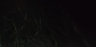 Un hombre de la tercera edad fue encontrado sin vida la noche del 8 de julio, en el Mirador de la Media Luna, ubicado en la ciudad de Riobamba, en la provincia de Chimborazo. El cuerpo fue hallado por transeúntes que recorrían el lugar, quienes rápidamente alertaron a las autoridades.