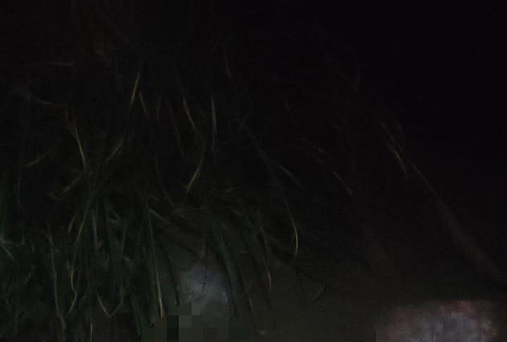 Un hombre de la tercera edad fue encontrado sin vida la noche del 8 de julio, en el Mirador de la Media Luna, ubicado en la ciudad de Riobamba, en la provincia de Chimborazo. El cuerpo fue hallado por transeúntes que recorrían el lugar, quienes rápidamente alertaron a las autoridades.