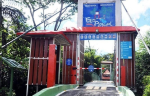 Con una trayectoria de tres décadas al servicio del turismo y la hospitalidad en la Amazonía ecuatoriana, la Hostería Finca El Pigüal conmemorará en septiembre su 30.º aniversario como uno de los emprendimientos más emblemáticos de la ciudad de Puyo.