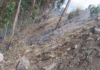 La tarde de 15 de julio, en Guano una densa columna de humo alertó a los habitantes del sector Lagos Panamericana, en las cercanías de la laguna Valle Hermoso, en respuesta el Cuerpo de Bomberos de Guano movilizó su unidad T-3 junto a un contingente de respuesta rápida para contener un incendio forestal que amenazaba con extenderse.