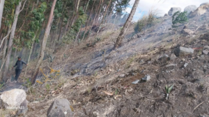 La tarde de 15 de julio, en Guano una densa columna de humo alertó a los habitantes del sector Lagos Panamericana, en las cercanías de la laguna Valle Hermoso, en respuesta el Cuerpo de Bomberos de Guano movilizó su unidad T-3 junto a un contingente de respuesta rápida para contener un incendio forestal que amenazaba con extenderse.