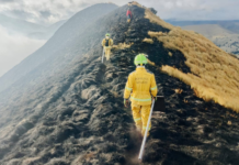 El personal operativo de los Bomberos de Guamote logró sofocar un incendio forestal que afectó la comunidad de Yanarumi, ubicada en el cantón Guamote, en la provincia de Chimborazo. El siniestro, que se desató en la tarde del 24 de julio, amenazó con expandirse rápidamente, poniendo en peligro el ecosistema y la biodiversidad de la zona.