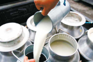 El Ministerio de Agricultura y Ganadería (MAG) y la empresa Gloria Food Ecuador sellaron un acuerdo que permitirá a los pequeños productores de leche comercializar su producto directamente con la industria, eliminando intermediarios y asegurando un precio más justo y sostenible.