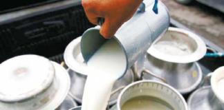 El Ministerio de Agricultura y Ganadería (MAG) y la empresa Gloria Food Ecuador sellaron un acuerdo que permitirá a los pequeños productores de leche comercializar su producto directamente con la industria, eliminando intermediarios y asegurando un precio más justo y sostenible.