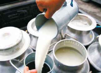 El Ministerio de Agricultura y Ganadería (MAG) y la empresa Gloria Food Ecuador sellaron un acuerdo que permitirá a los pequeños productores de leche comercializar su producto directamente con la industria, eliminando intermediarios y asegurando un precio más justo y sostenible.