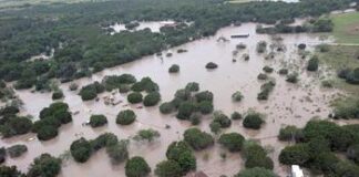 En los primeros días de julio de 2025, el centro y sur de Texas fueron azotados por lluvias intensas que provocaron inundaciones devastadoras en el Valle del Guadalupe. Desde la madrugada del 4 de julio, el río experimentó un aumento súbito de hasta 11 pulgadas (280 mm) de precipitación, lo que desencadenó avalanchas de agua que arrastraron viviendas, vehículos y atraparon a cientos de personas.