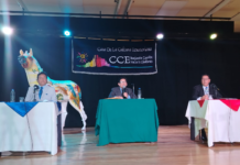 El Teatro Alfonso Chávez Jara fue escenario del debate este 14 de agosto, entre Boris Heredia (Lista 1, Transformación Cultural) y Juan Carlos Huaraca (Lista 2, Chimborazo por la Cultura), candidatos a la dirección de la Casa de la Cultura Ecuatoriana, Núcleo Chimborazo, quienes presentaron sus propuestas ante artistas, gestores y público en general.