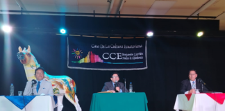El Teatro Alfonso Chávez Jara fue escenario del debate este 14 de agosto, entre Boris Heredia (Lista 1, Transformación Cultural) y Juan Carlos Huaraca (Lista 2, Chimborazo por la Cultura), candidatos a la dirección de la Casa de la Cultura Ecuatoriana, Núcleo Chimborazo, quienes presentaron sus propuestas ante artistas, gestores y público en general.