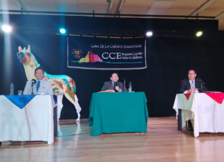 El Teatro Alfonso Chávez Jara fue escenario del debate este 14 de agosto, entre Boris Heredia (Lista 1, Transformación Cultural) y Juan Carlos Huaraca (Lista 2, Chimborazo por la Cultura), candidatos a la dirección de la Casa de la Cultura Ecuatoriana, Núcleo Chimborazo, quienes presentaron sus propuestas ante artistas, gestores y público en general.