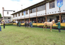 El próximo jueves 28 de agosto de 2025, a las 10h30, en el recinto ferial de la Quinta Macají, se desarrollará el Foro de Desarrollo Agroproductivo, una iniciativa conjunta de BanEcuador y el Centro Agrícola Cantonal de Riobamba que busca impulsar el crecimiento y la competitividad del sector agropecuario en la provincia.