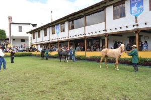 El próximo jueves 28 de agosto de 2025, a las 10h30, en el recinto ferial de la Quinta Macají, se desarrollará el Foro de Desarrollo Agroproductivo, una iniciativa conjunta de BanEcuador y el Centro Agrícola Cantonal de Riobamba que busca impulsar el crecimiento y la competitividad del sector agropecuario en la provincia.