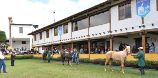 El próximo jueves 28 de agosto de 2025, a las 10h30, en el recinto ferial de la Quinta Macají, se desarrollará el Foro de Desarrollo Agroproductivo, una iniciativa conjunta de BanEcuador y el Centro Agrícola Cantonal de Riobamba que busca impulsar el crecimiento y la competitividad del sector agropecuario en la provincia.