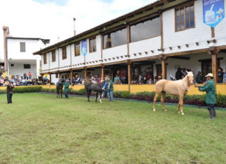 El próximo jueves 28 de agosto de 2025, a las 10h30, en el recinto ferial de la Quinta Macají, se desarrollará el Foro de Desarrollo Agroproductivo, una iniciativa conjunta de BanEcuador y el Centro Agrícola Cantonal de Riobamba que busca impulsar el crecimiento y la competitividad del sector agropecuario en la provincia.