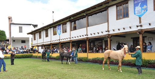El próximo jueves 28 de agosto de 2025, a las 10h30, en el recinto ferial de la Quinta Macají, se desarrollará el Foro de Desarrollo Agroproductivo, una iniciativa conjunta de BanEcuador y el Centro Agrícola Cantonal de Riobamba que busca impulsar el crecimiento y la competitividad del sector agropecuario en la provincia.