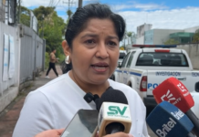 En los últimos días, usuarios de la provincia de Pastaza han reportado problemas con la calidad de la señal de internet y datos móviles, así como con el elevado costo de las facturas, además de inconvenientes relacionados con la garantía de los teléfonos. La mayoría de los reclamos han sido atendidos en la Delegación provincial de la Defensoría del Pueblo, según informó la titular del despacho, Yajaira Curipallo.
