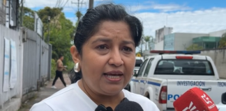 En los últimos días, usuarios de la provincia de Pastaza han reportado problemas con la calidad de la señal de internet y datos móviles, así como con el elevado costo de las facturas, además de inconvenientes relacionados con la garantía de los teléfonos. La mayoría de los reclamos han sido atendidos en la Delegación provincial de la Defensoría del Pueblo, según informó la titular del despacho, Yajaira Curipallo.