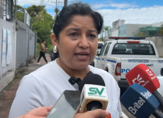 En los últimos días, usuarios de la provincia de Pastaza han reportado problemas con la calidad de la señal de internet y datos móviles, así como con el elevado costo de las facturas, además de inconvenientes relacionados con la garantía de los teléfonos. La mayoría de los reclamos han sido atendidos en la Delegación provincial de la Defensoría del Pueblo, según informó la titular del despacho, Yajaira Curipallo.
