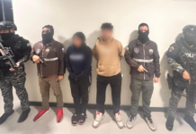 La operación “Embate 38” marcó un golpe contundente contra el microtráfico en Chimborazo, al allanar una vivienda en el barrio Camilo Ponce, en Riobamba, donde se almacenaban importantes cantidades de marihuana, pasta base y clorhidrato de cocaína.