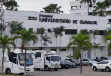 El ministro de Salud, Jimmy Martin, informó que en julio se registraron 12 muertes de recién nacidos en el Hospital Universitario de Guayaquil, y no 18 como circuló en redes sociales. Señaló que las causas fueron diversas, en su mayoría asociadas a bajo peso al nacer, prematuridad o inmaturidad extrema, y precisó que solo dos casos estuvieron vinculados a la bacteria KPC.